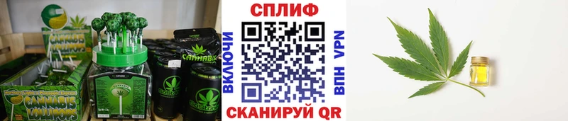 ссылка на мегу зеркало  Грайворон  Cannafood конопля  купить  