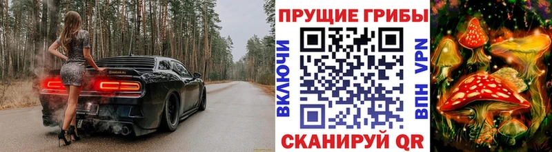 Псилоцибиновые грибы GOLDEN TEACHER  сколько стоит  Грайворон 